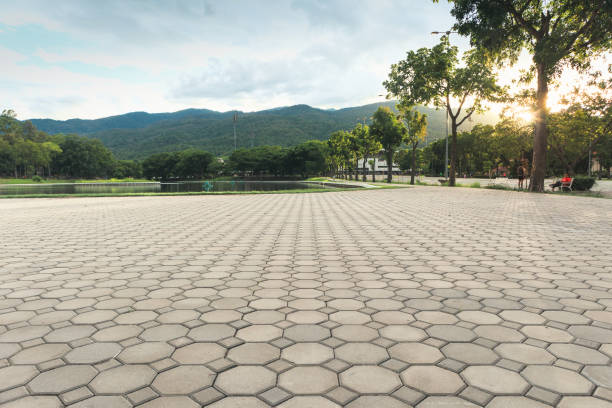 Best Decorative Driveway Pavers  in Daniels, WV