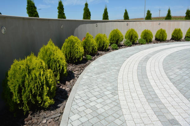 Best Best Driveway Pavers  in Daniels, WV