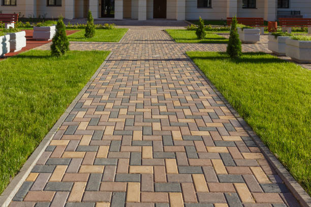 Best Local Driveway Pavers  in Daniels, WV